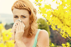 Allergies: Take Action in Your Warren Home